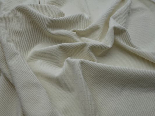 Απολαύστε την άνεση και την ανθεκτικότητα του υφάσματος Micro Elastic Velvet για τα ρούχα σας